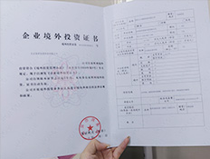 ODI对外投资许可证书
